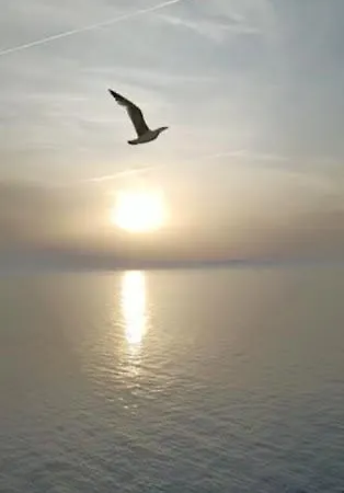 Armareaoverseassuites Apartamento Fiumicino